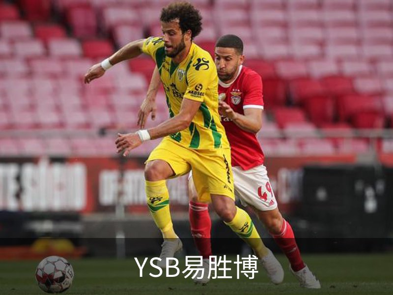 YSB易胜博概况